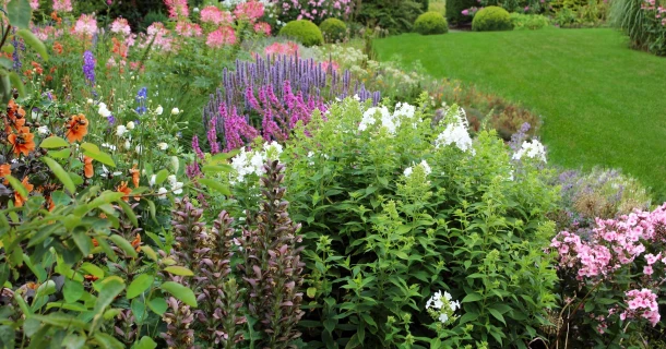 Richtig kalken im Garten Thumb