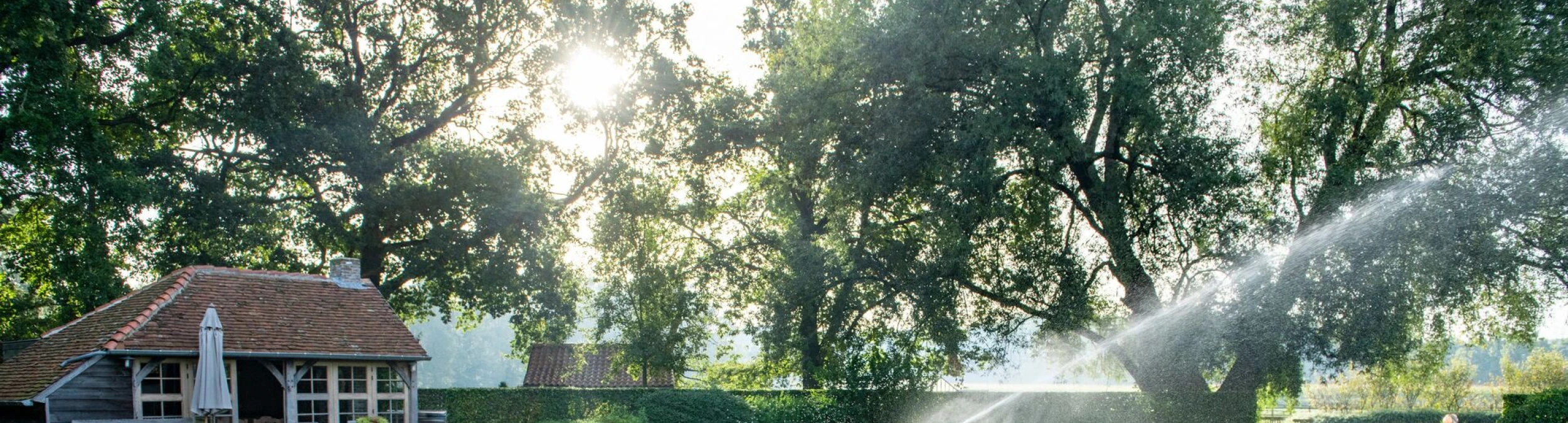 Header image alt
