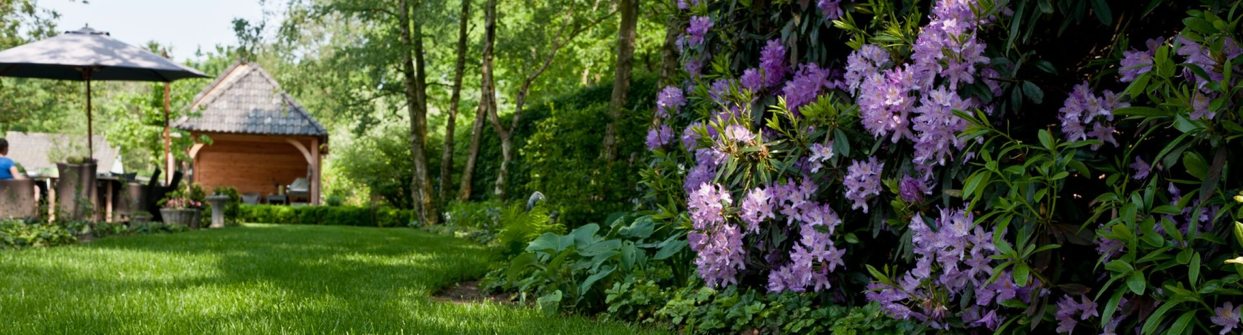 Header image alt