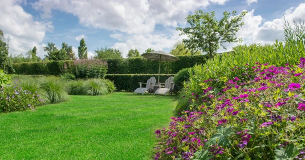 Der richtige Dünger für den Ziergarten Thumb