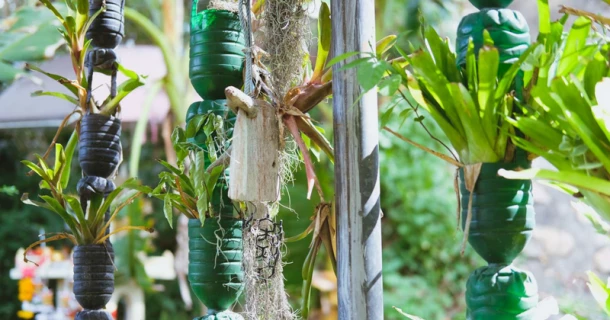 Vertikaler Garten: So pflanzen Sie in die Höhe Thumb