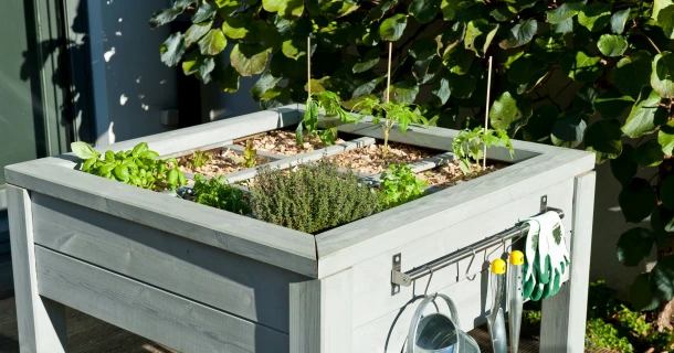 Hochbeet auf dem Balkon: Anlegen und Bepflanzen Thumb