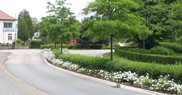 Düngung und Pflege von Stadtbäumen Thumb
