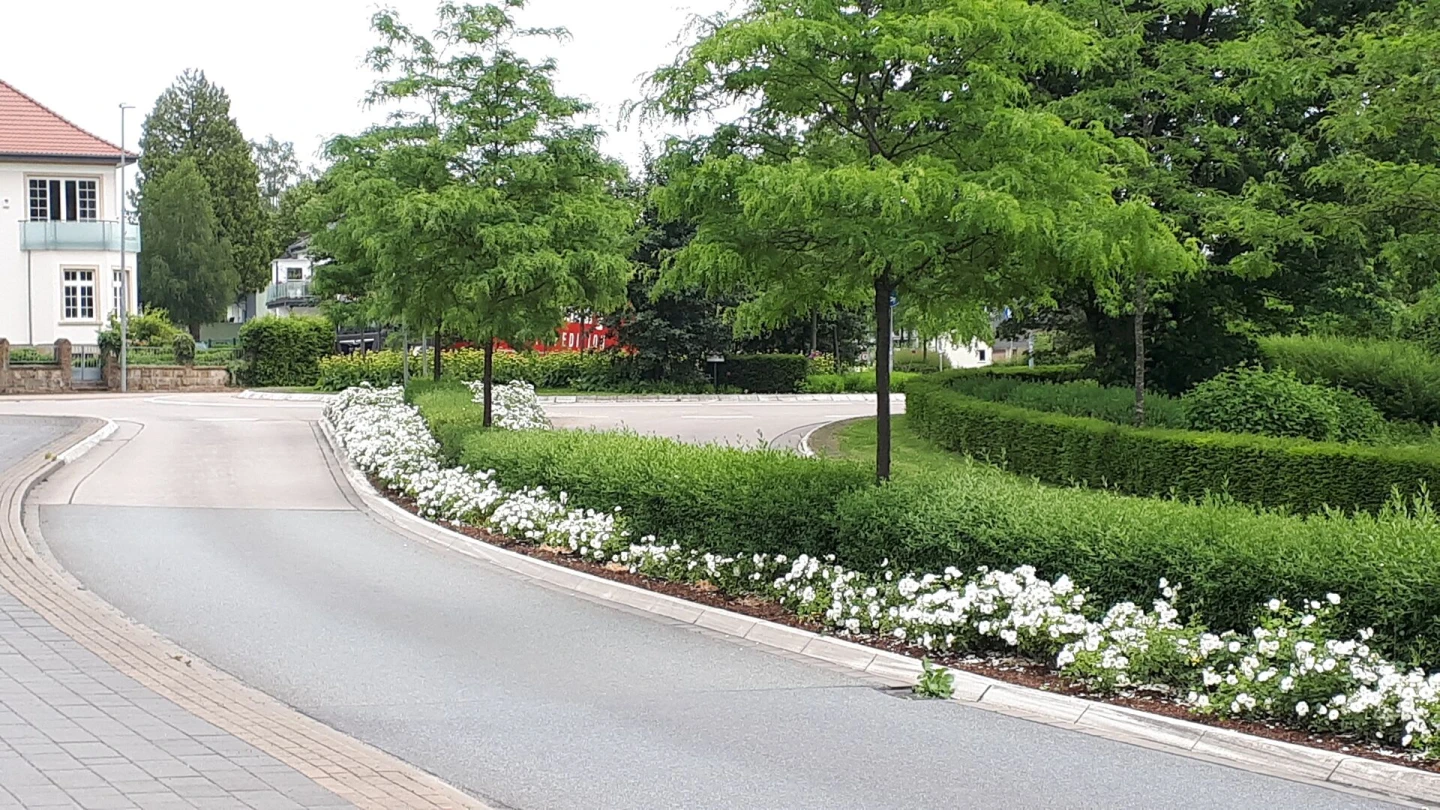 Header image alt