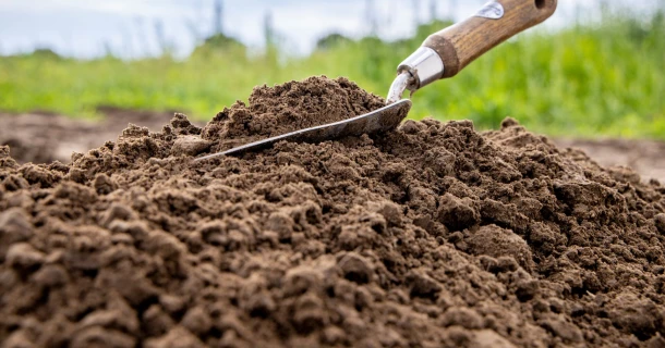 Bodenkunde: Was Sie über Ihren Gartenboden wissen sollten Thumb