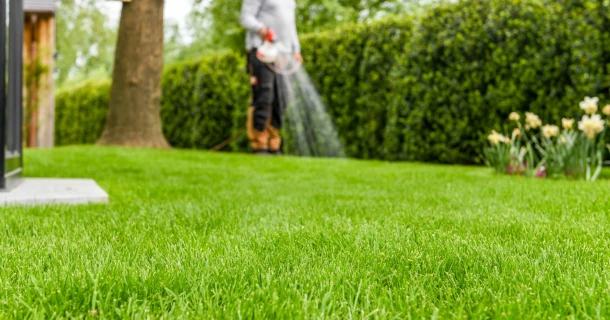 Innovativer Rasendünger flüssig: DCM LIQUID GREEN Thumb