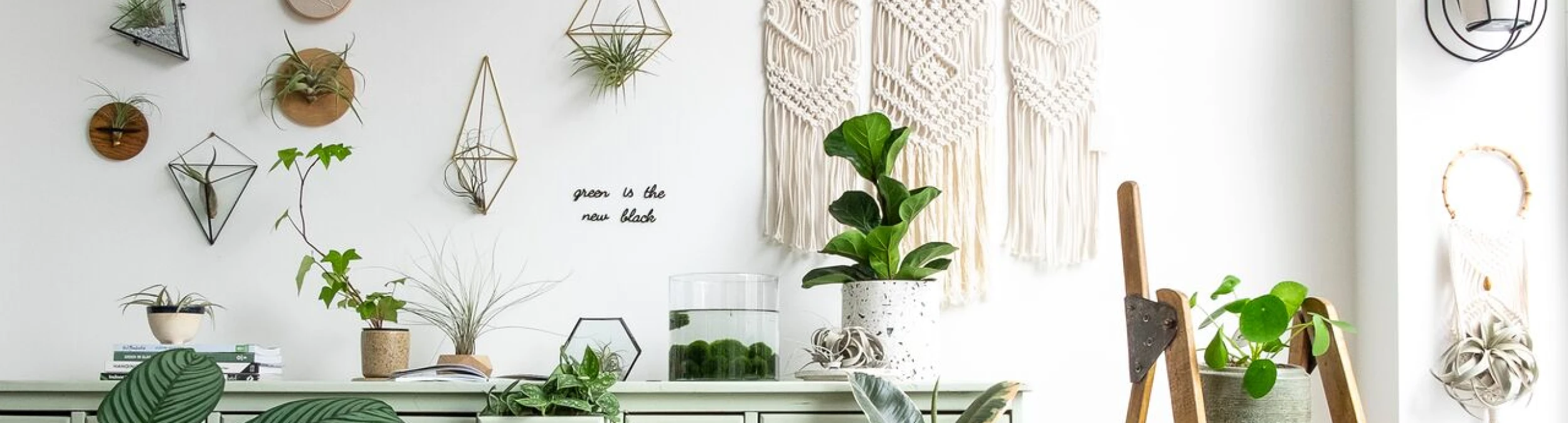 Header image alt