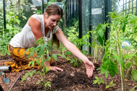 Nutzgarten planen Thumb