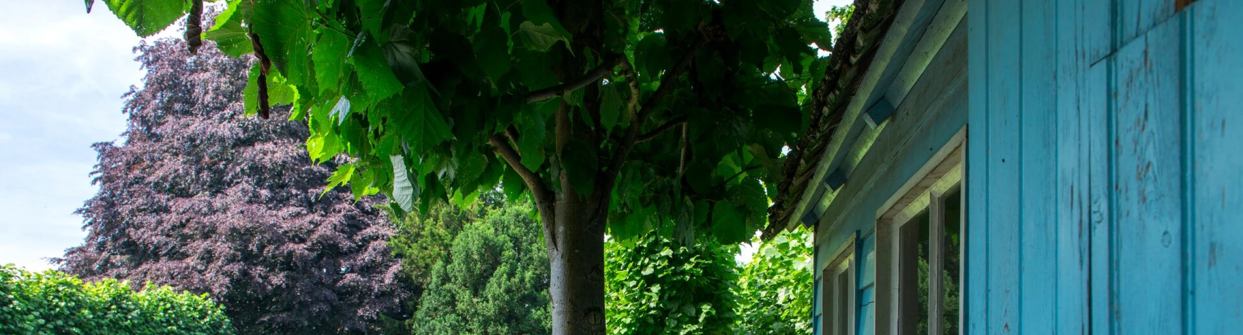 Header image alt