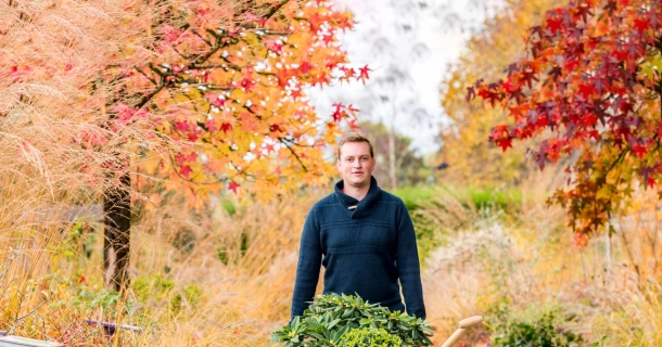 Gartenarbeit im Herbst – das ist jetzt zu tun Thumb