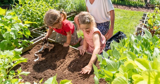 Frühlingsgemüse: Dieses Gemüse lässt sich im Frühjahr anbauen Thumb