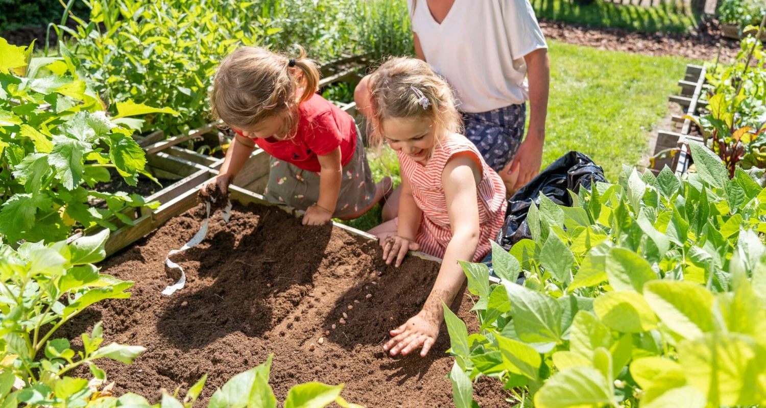 Frühlingsgemüse: Dieses Gemüse lässt sich im Frühjahr anbauen Thumb