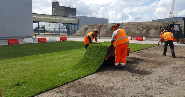 Braber Groenvoorziening optimizes soil structure with DCM VIVIMUS® Thumb