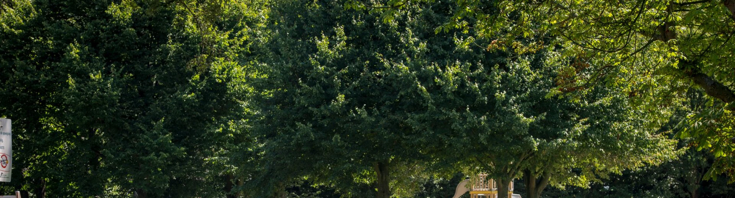 Header image alt
