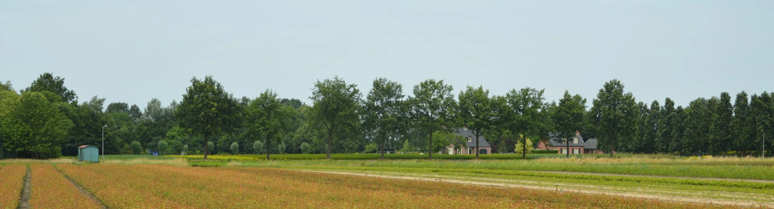 Header image alt