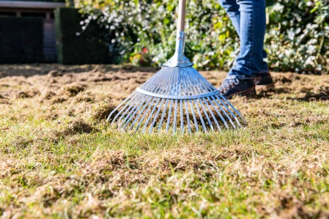 Scarifier la pelouse ... ou non? Thumb