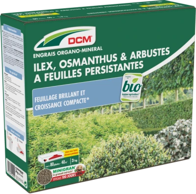 Engrais Ilex, Osmanthus & Arbustes à feuilles persistantes DCM thumbnail