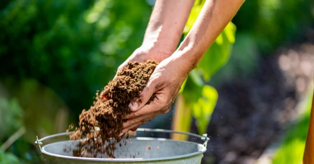 Types de terreau : chaque plante a ses besoins spécifiques Thumb