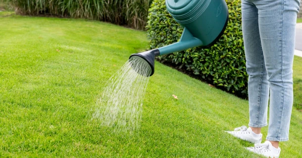 Engrais liquide pour gazon : le moyen le plus rapide pour obtenir un gazon vert Thumb