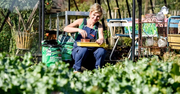Aménager votre potager de A à Z : voici la marche à suivre Thumb