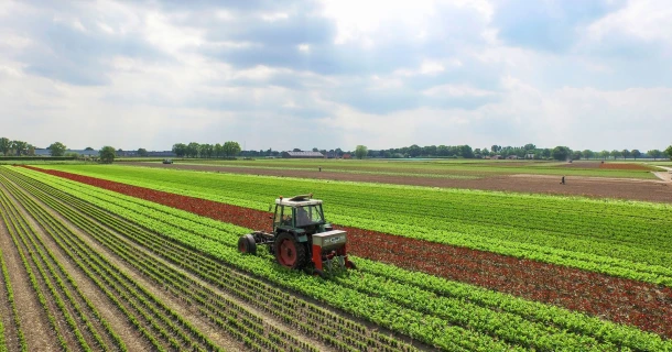 DCM NK-MIX pour les parcelles présentant une teneur élevée en P Thumb