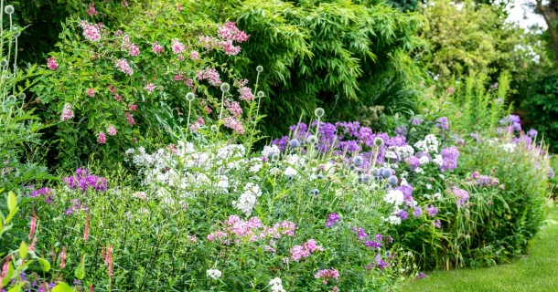 Créez le plus beau jardin d’ornement grâce aux engrais adaptés Thumb