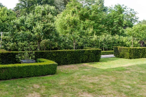 Aidez votre jardin à survivre à la sécheresse Thumb