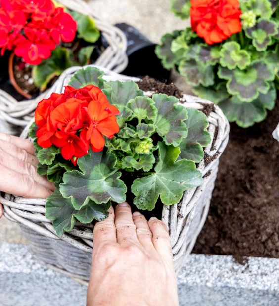 Terrasse et balcon Thumb