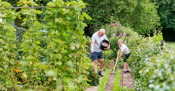 Fertiliser le potager : voici comment obtenir une récolte abondante Thumb