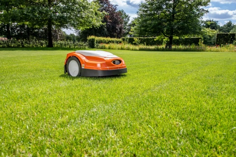 Entretien de gazons à tontes robotisées ou à tontes mulching Thumb
