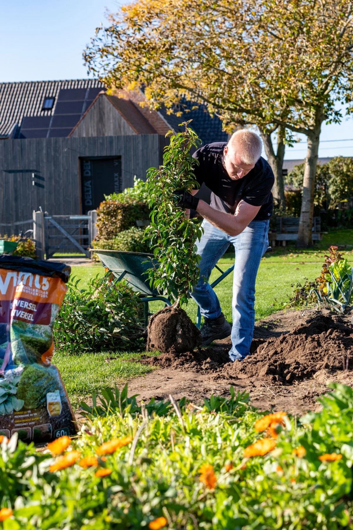Aménagement du jardin Thumb