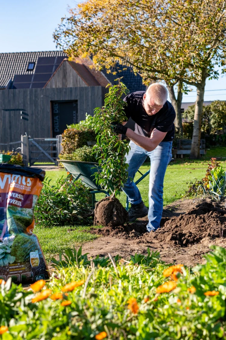 Aménagement du jardin Thumb
