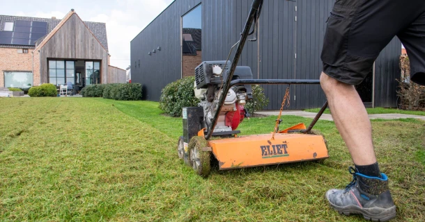 Scarifier le gazon : quand et comment ? Thumb