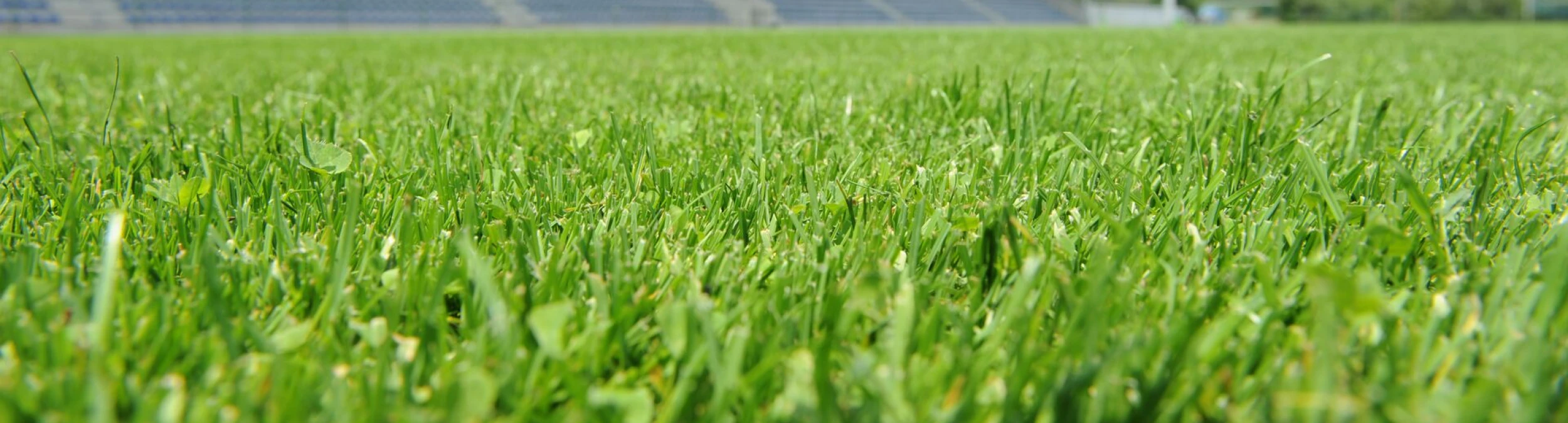 Header image alt