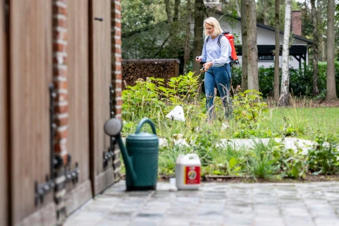 Combattre la mousse et les mauvaises herbes dans le jardin et sur la terrasse Thumb
