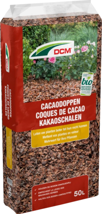 Coques de Cacao DCM thumbnail
