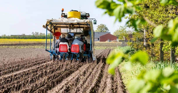 Une meilleure levée et une croissance plus vigoureuse pour le charme avec DCM VIVISOL® Thumb