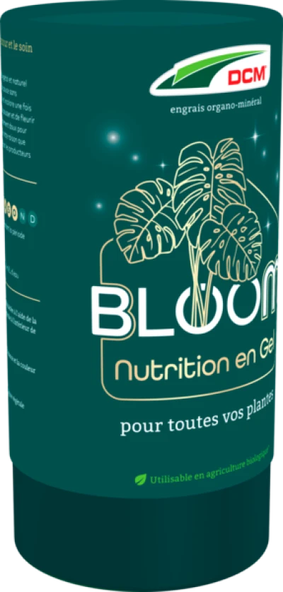 BLOOM thumbnail