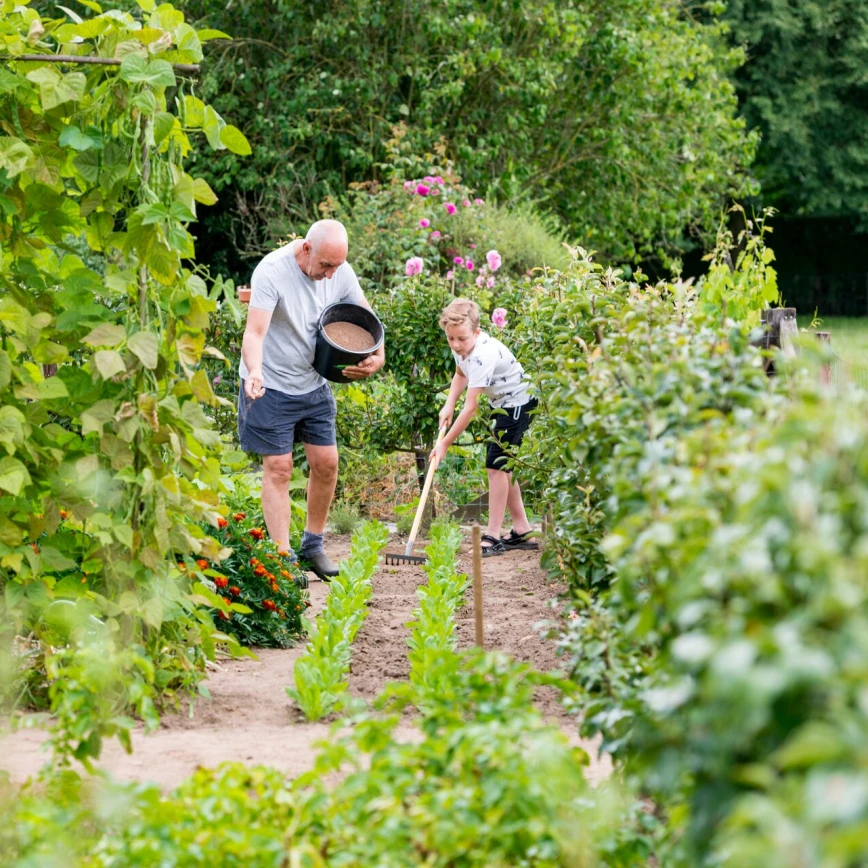 Fertiliser le potager : voici comment obtenir une récolte abondante Thumb