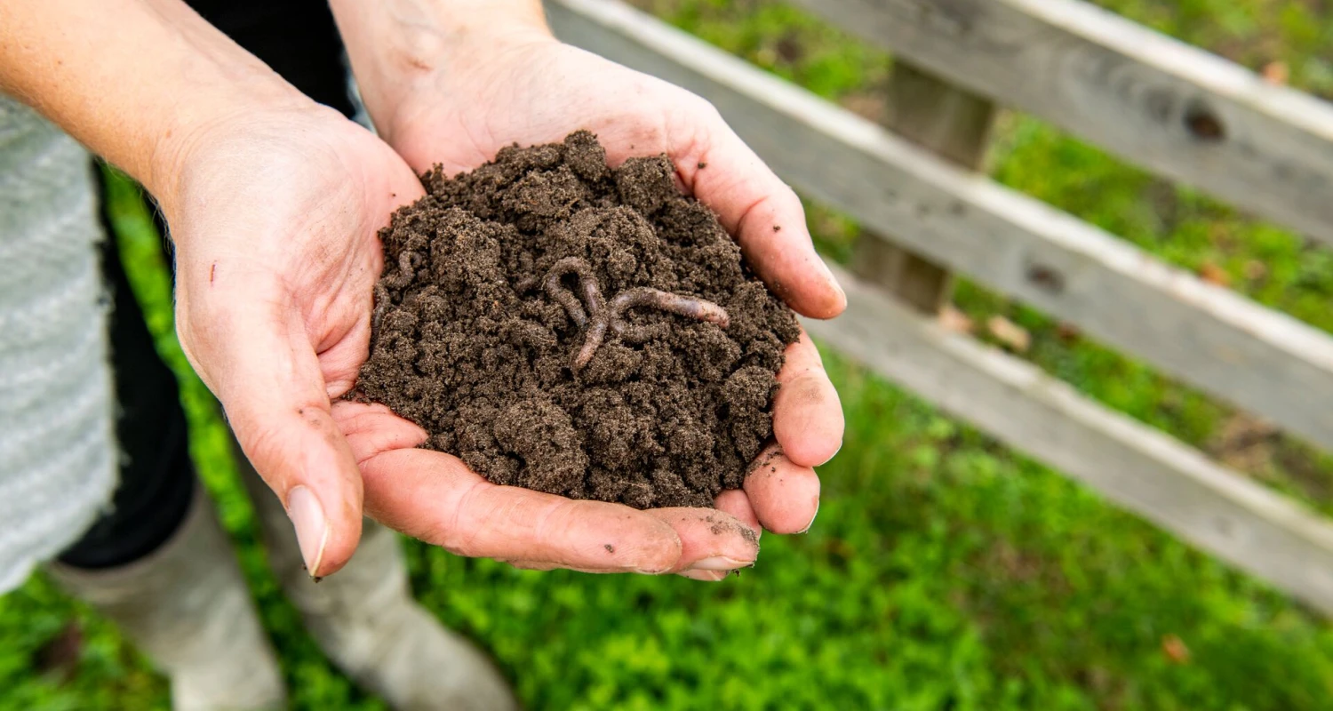 Améliorer le sol pour vos plantes : indispensable ou superflu ? Thumb