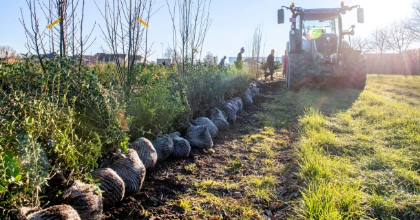 Une production rentable de qualité tout en respectant l'environnement Thumb