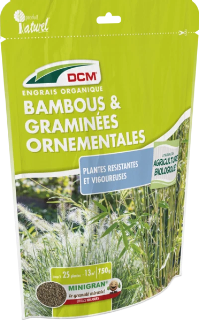 Bambous & Graminees Ornementales thumbnail