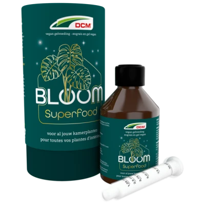 DCM BLOOM Kamerplanten thumbnail