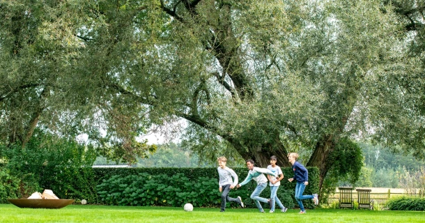 Jaarbemestingsplan voor een dichte groene grasmat Thumb