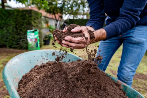 Bodemverbeteraar voor je gazon: 4 toepassingen voor een dichte, gezonde grasmat Thumb