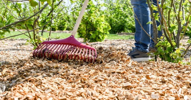 DCM Castanea Coverchips is trendsetter bij de afdekmaterialen Thumb