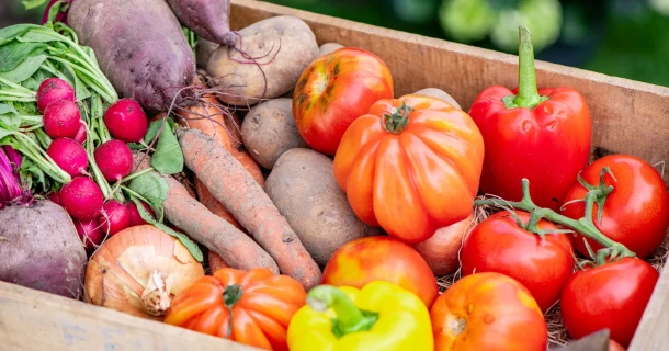 Biologische groenten uit eigen moestuin Thumb