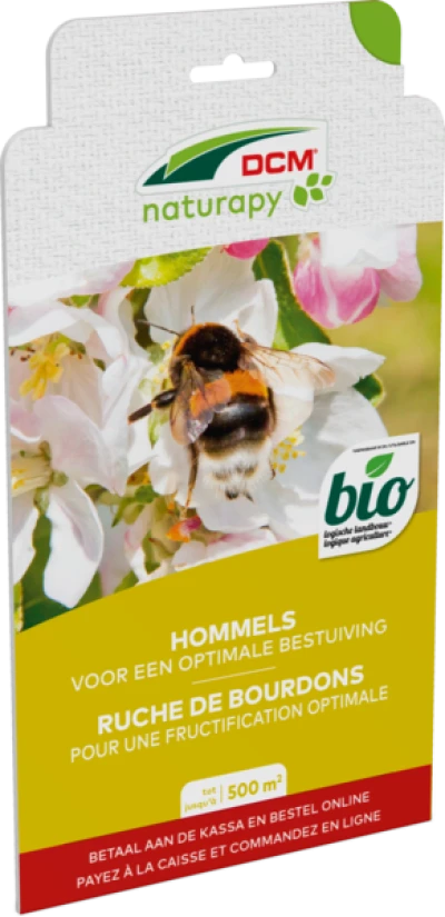 Hommels voor een optimale vruchtzetting thumbnail