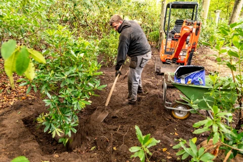 Standaardschema voor aanleg siertuin Thumb