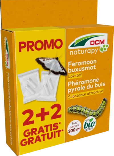 Feromoon buxusmot thumbnail